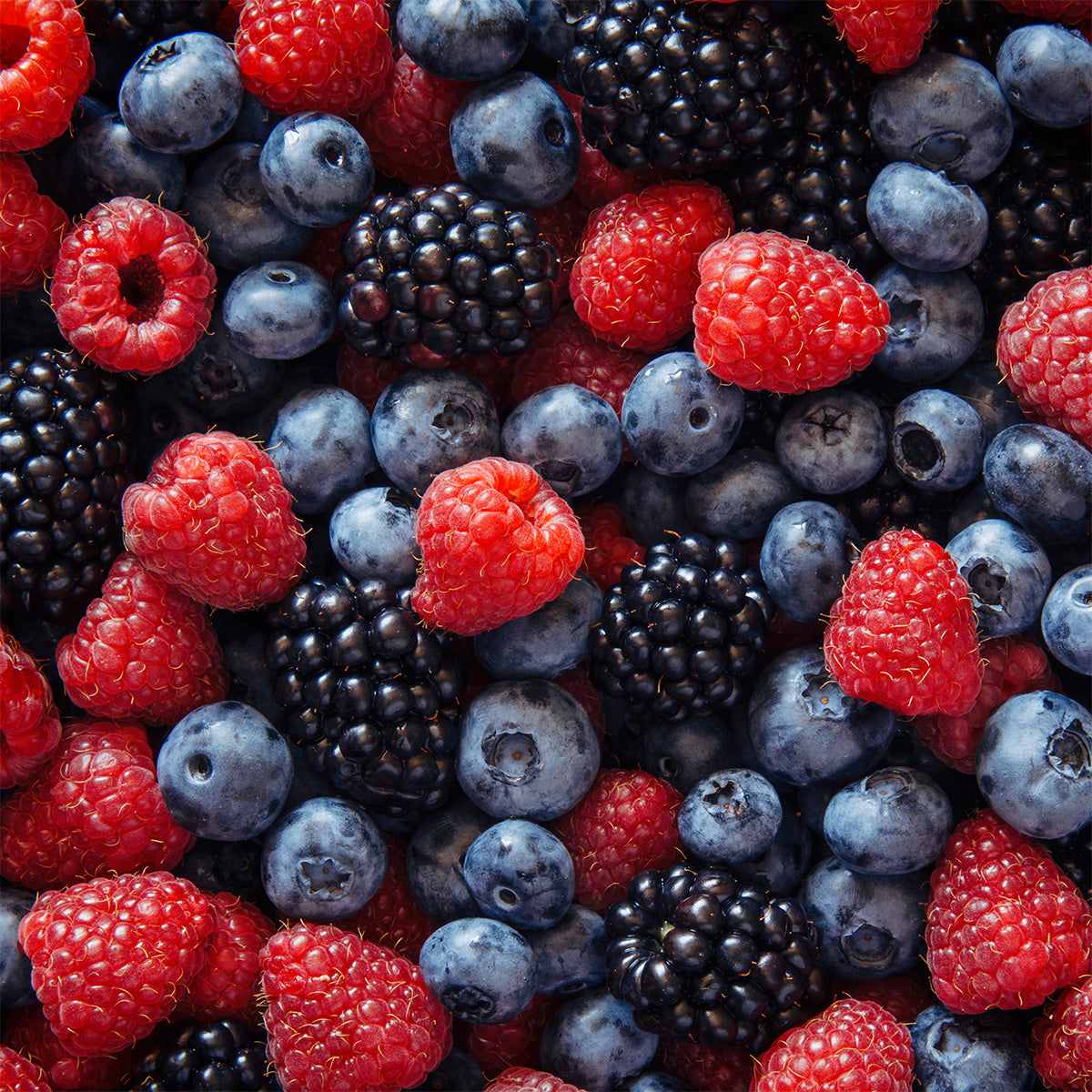 Nahaufnahme einer Mischung aus frischen Himbeeren, Brombeeren und Heidelbeeren.