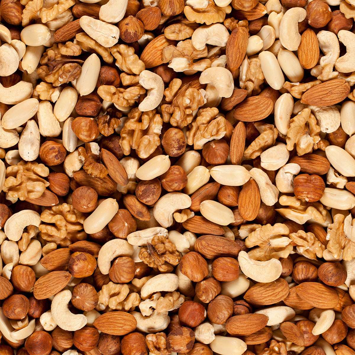 Eine Nahaufnahme eines gemischten Sortiments von Nüssen, darunter Cashews, Mandeln, Erdnüsse, Walnüsse und Haselnüsse.