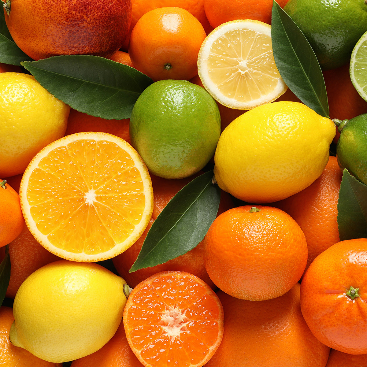 Verschiedene Zitrusfrüchte wie Zitronen, Limetten, Orangen und Mandarinen, einige ganz, andere halbiert, mit grünen Blättern dazwischen verstreut.
